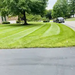 Gaspar Lawncare LLC